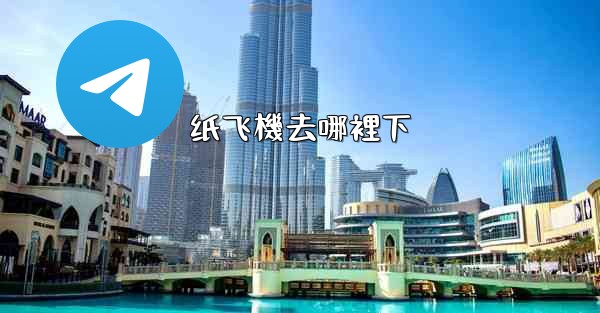 纸飞機去哪裡下