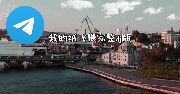 我的纸飞機完整dj版