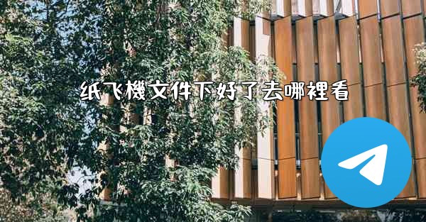 纸飞機文件下好了去哪裡看