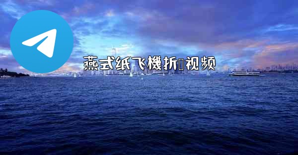 燕式纸飞機折叠视频