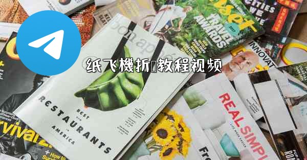 <b>纸飞機折叠教程视频</b>