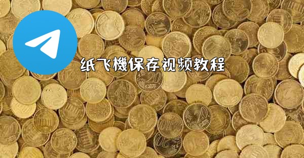 纸飞機保存视频教程