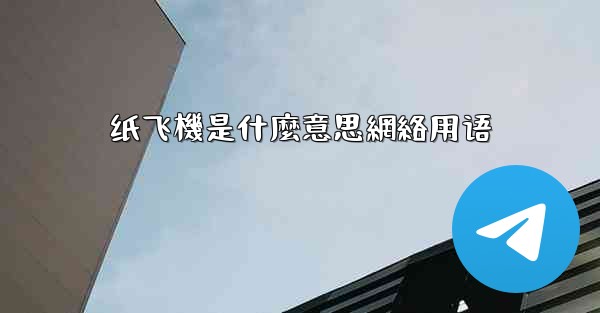 纸飞機是什麼意思網絡用语