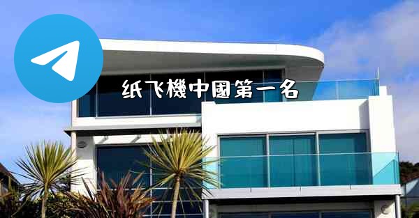纸飞機中國第一名
