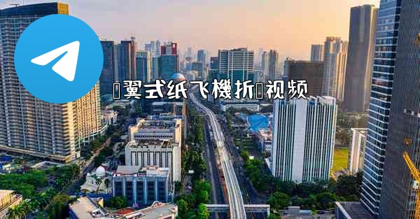 鸭翼式纸飞機折叠视频