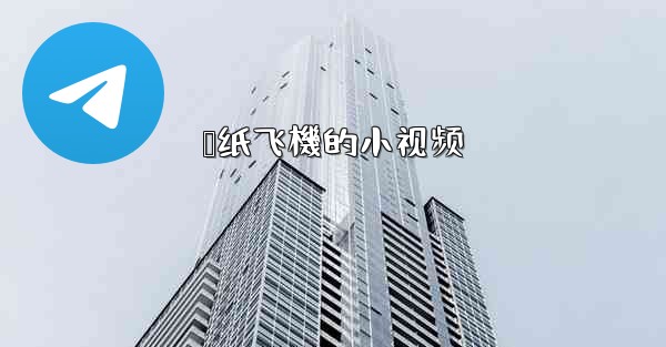 叠纸飞機的小视频