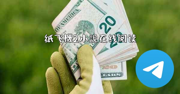 纸飞機2小說在线阅读