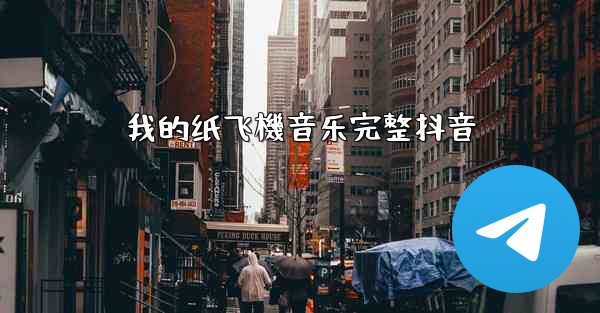 我的纸飞機音乐完整抖音