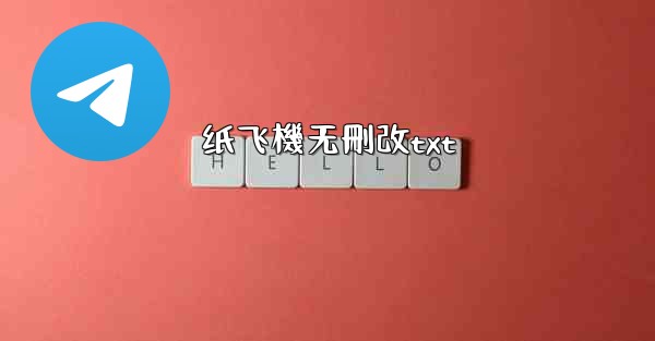 纸飞機无刪改txt