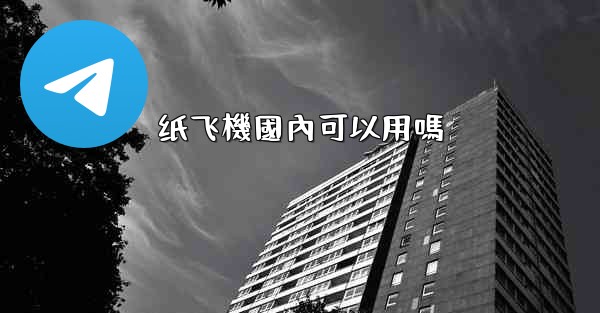 纸飞機國內可以用嗎