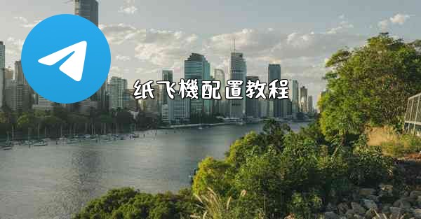 纸飞機配置教程