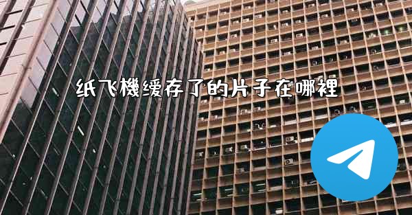 纸飞機缓存了的片子在哪裡