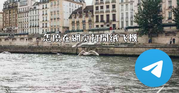 怎麼在網页打開纸飞機