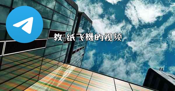 教叠纸飞機的视频