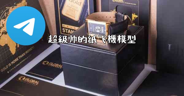 超級帅的纸飞機模型