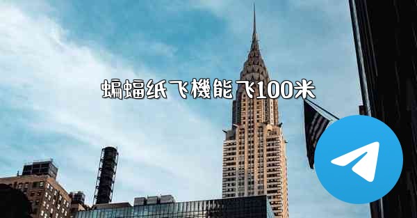 蝙蝠纸飞機能飞100米