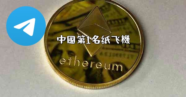 <b>中國第1名纸飞機</b>