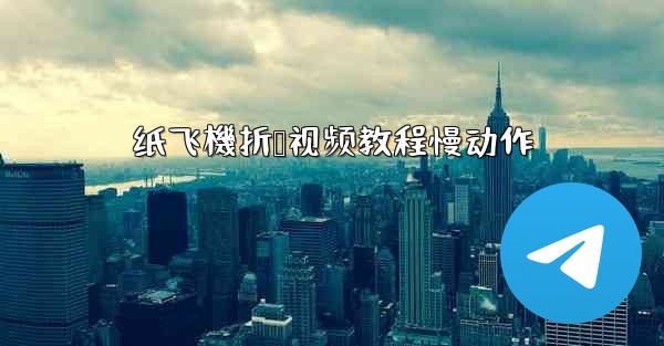 纸飞機折叠视频教程慢动作