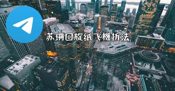 苏珊回旋纸飞機折法