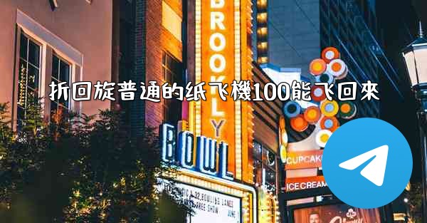 折回旋普通的纸飞機100能飞回來