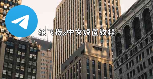 纸飞機x中文設置教程
