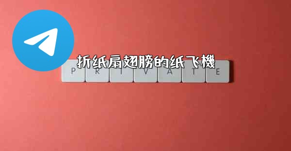 折纸扇翅膀的纸飞機