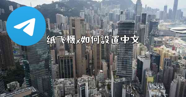 纸飞機x如何設置中文