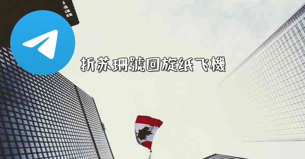 折苏珊號回旋纸飞機