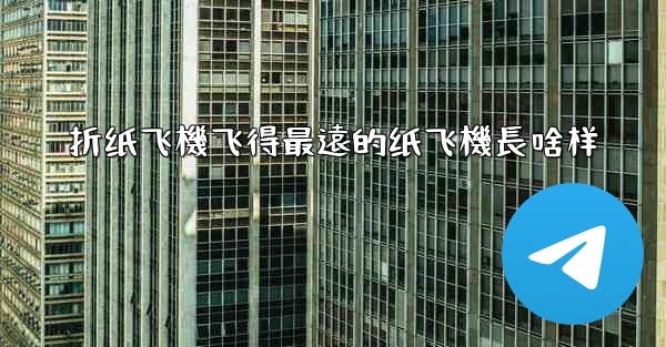 <b>折纸飞機飞得最遠的纸飞機長啥样</b>