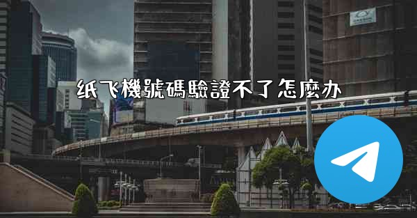 纸飞機號碼驗證不了怎麼办