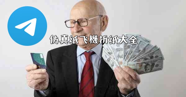 仿真纸飞機折纸大全