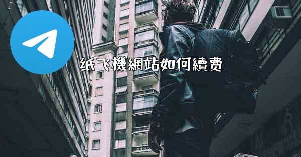 纸飞機網站如何續费