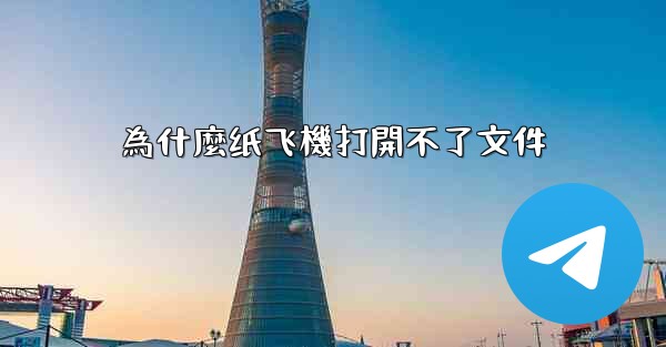 為什麼纸飞機打開不了文件