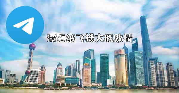 潭石纸飞機大概剧情