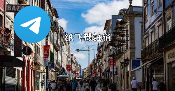 纸飞機註销