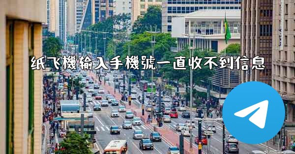 纸飞機输入手機號一直收不到信息