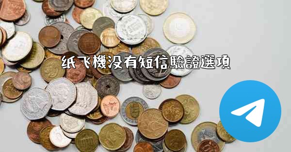 纸飞機没有短信驗證選項