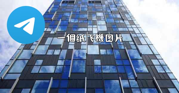 一個纸飞機图片