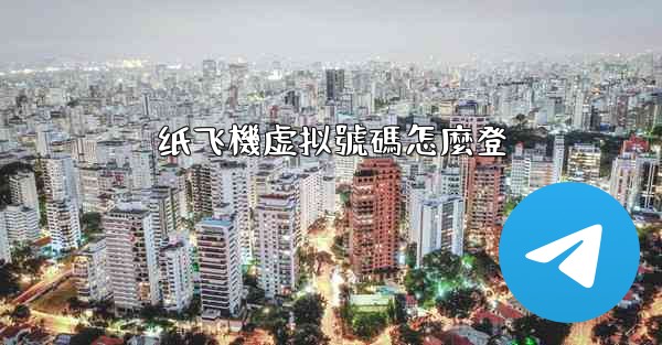 纸飞機虚拟號碼怎麼登