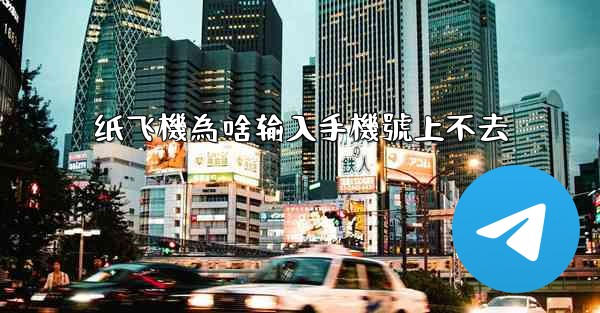 纸飞機為啥输入手機號上不去
