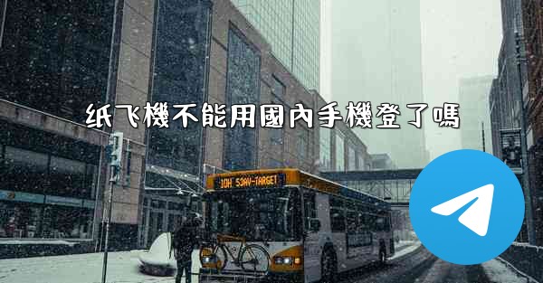 纸飞機不能用國內手機登了嗎