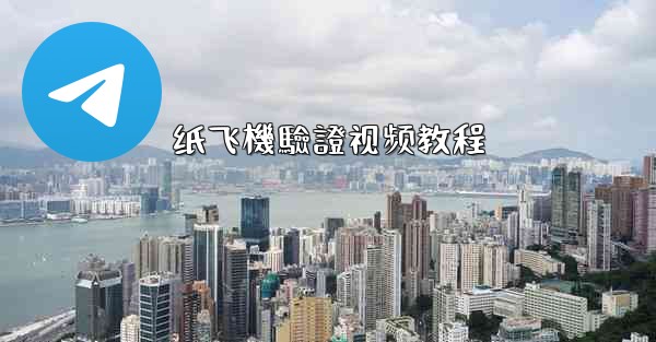 纸飞機驗證视频教程