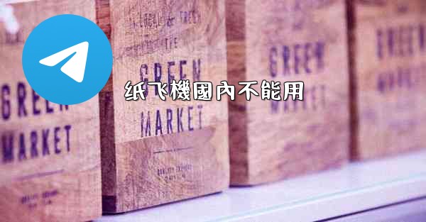 纸飞機國內不能用