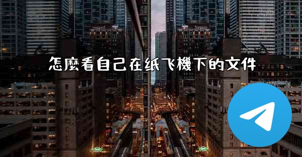 怎麼看自己在纸飞機下的文件