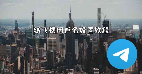 纸飞機用戶名設置教程