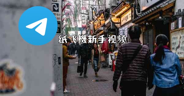 纸飞機新手视频