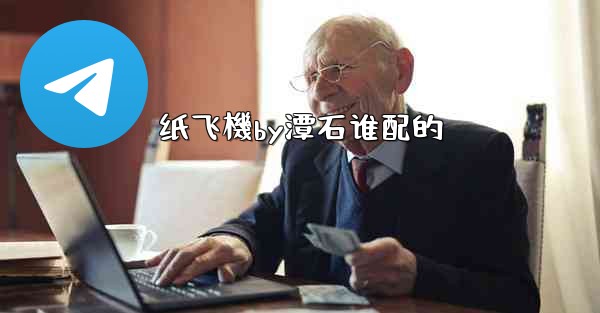 纸飞機by潭石谁配的