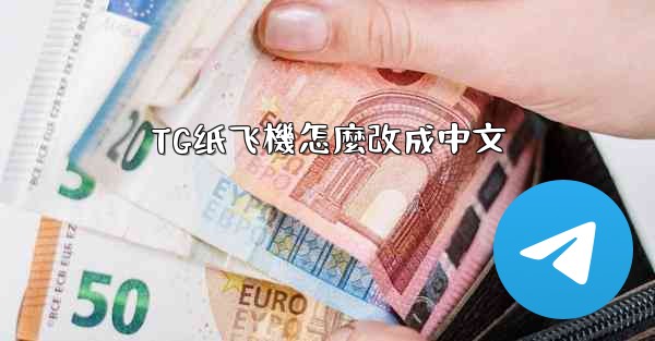 TG纸飞機怎麼改成中文