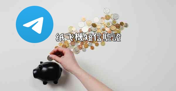 纸飞機短信驗證
