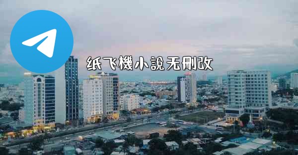 纸飞機小說无刪改